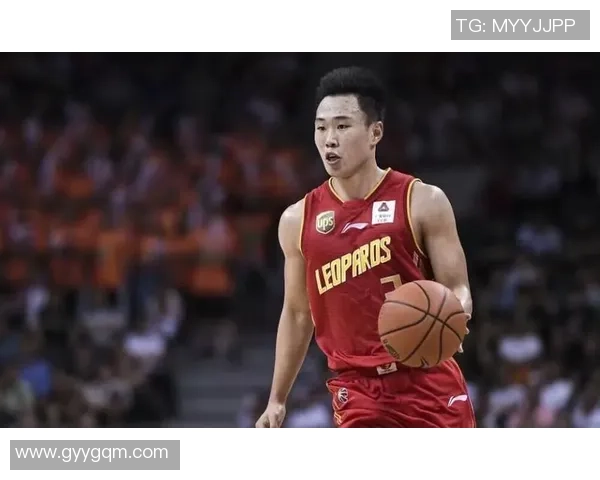 贺希宁：从篮球新星到职业生涯的璀璨之路与未来展望