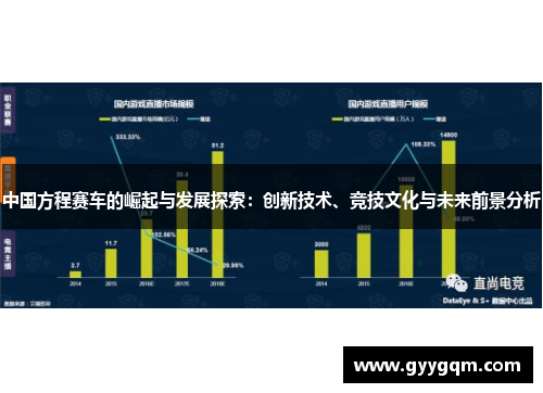 中国方程赛车的崛起与发展探索：创新技术、竞技文化与未来前景分析