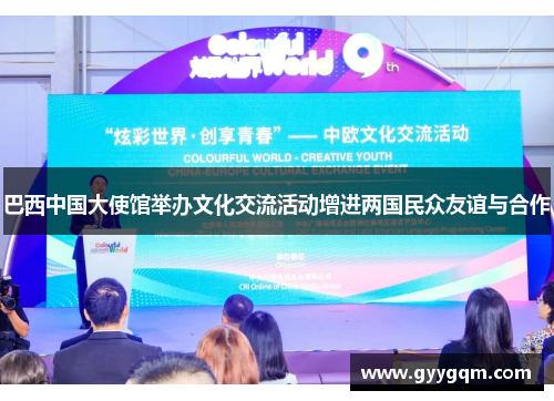 巴西中国大使馆举办文化交流活动增进两国民众友谊与合作