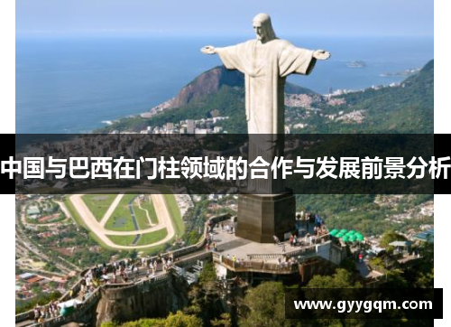 中国与巴西在门柱领域的合作与发展前景分析