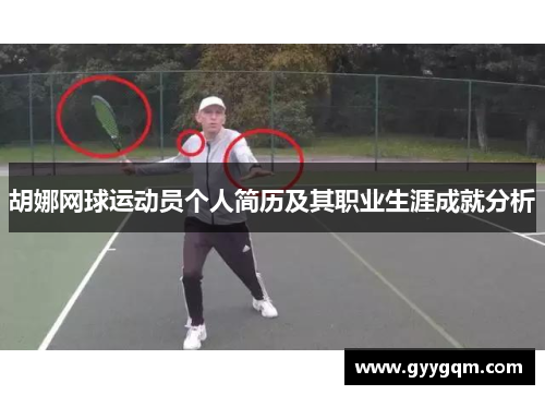 胡娜网球运动员个人简历及其职业生涯成就分析
