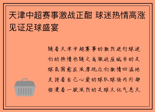 天津中超赛事激战正酣 球迷热情高涨见证足球盛宴