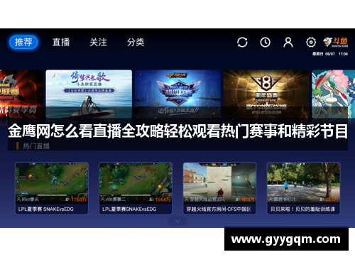 金鹰网怎么看直播全攻略轻松观看热门赛事和精彩节目