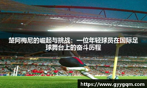 谈球吧最新地址